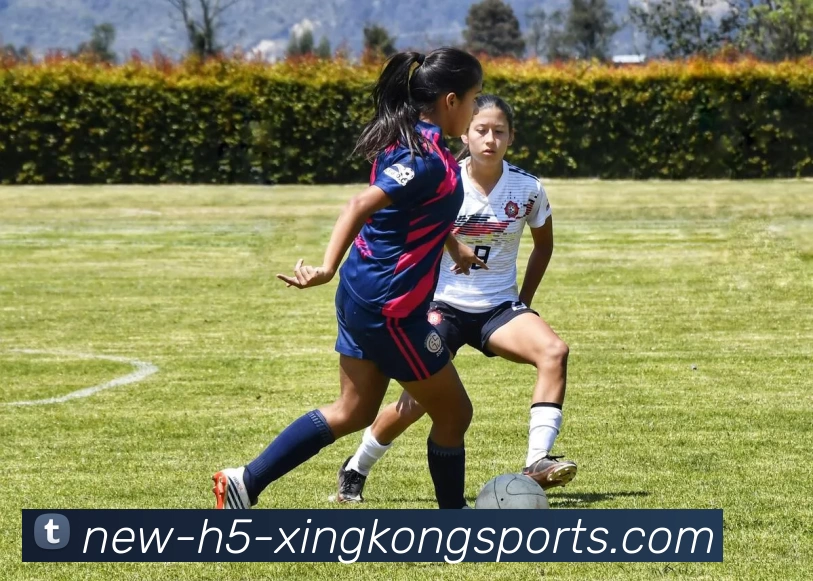 星空体育发展历程